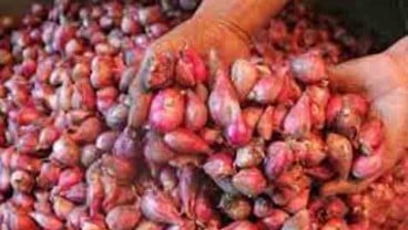 Harga Referensi Tetap, Keran Impor Bawang Ditutup